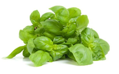 Albahaca