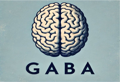 Propiedades y contraindicaciones del GABA