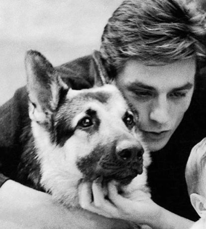 Alain Delon