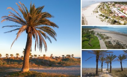 Playas con bandera azul: el mar a un paso