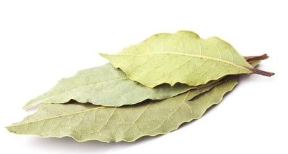 Laurel