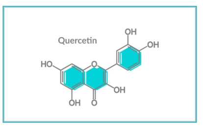 Quercetina