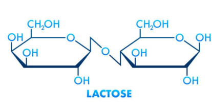Lactosa