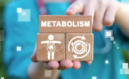 El metabolismo