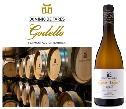 Dominio de Tares Cepas Viejas Godello 2023
