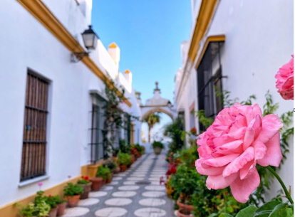Puerto Real