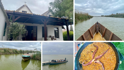 Paseo en barca por la Albufera, la forma más auténtica de explorar los humedales valencianos y su biodiversidad.