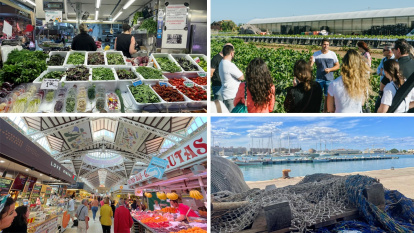 Actividades organizadas en últimas ediciones del Culinary Festival (Valencia).