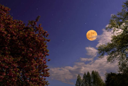 Luna llena
