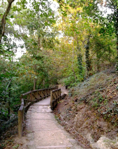 El Forestal.