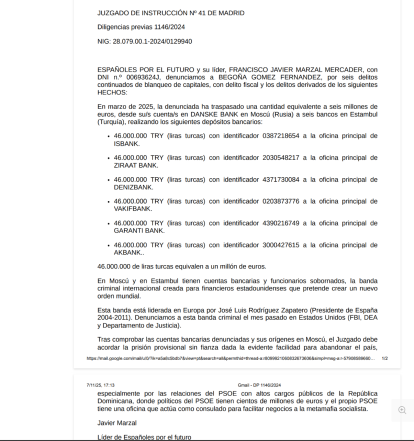 Parte de la denuncia contra Gómez de Españoles por el Futuro.