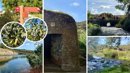 Senderos entre olivares, alcornoques y molinos centenarios.