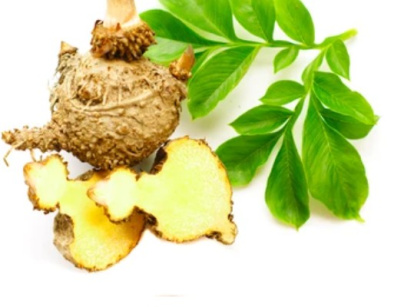 Planta konjac de donde procede el glucomanano
