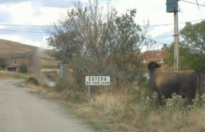 Estepa de San Juan en Soria