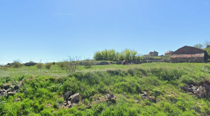 Estepa de San Juan en Soria