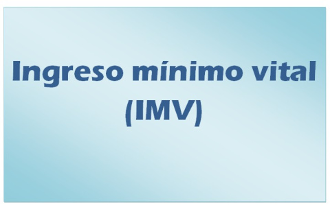 Ingreso mínimo vital