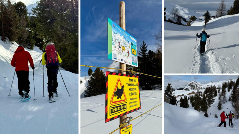 La montaña más íntima, paso a paso entre pinos.