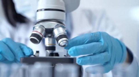 Investigación científica