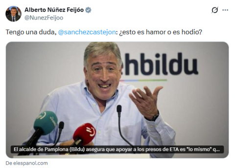 Tuit de Feijóo sobre las palabras del alcalde de Pamplona, Joseba Asiron, de Bildu.