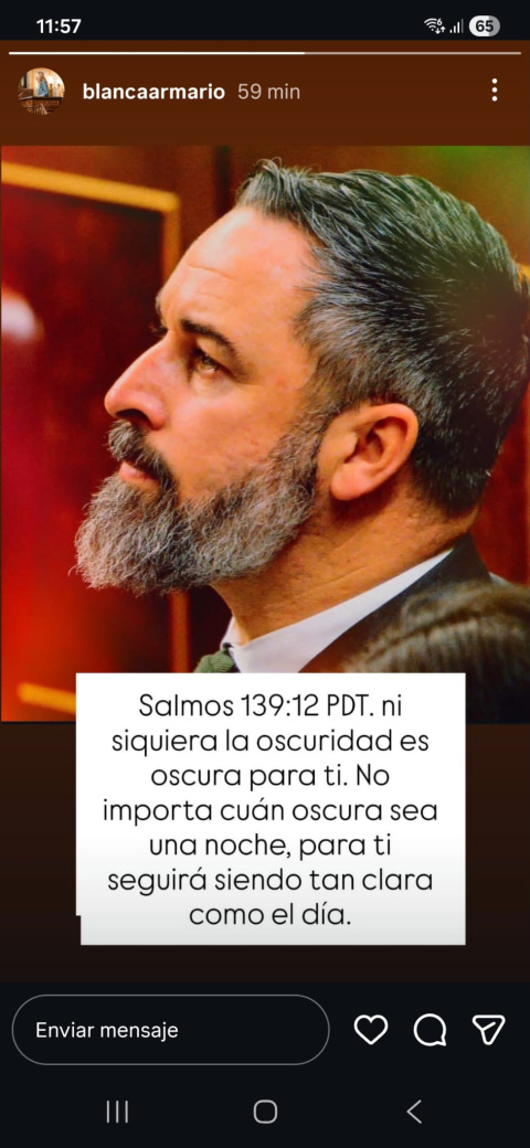 Mensaje en Instagram de la diputada de Vox, Blanca Armario, apoyando a Abascal.