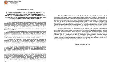 Resolución Tribunal Constitucional