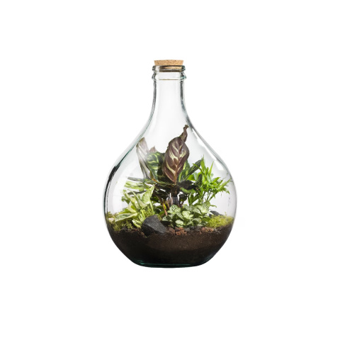 Los formatos tipo botella aportan un aire contemporáneo a la tendencia de jardines en miniatura