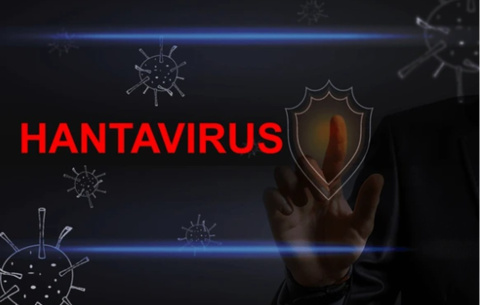 Hantavirus