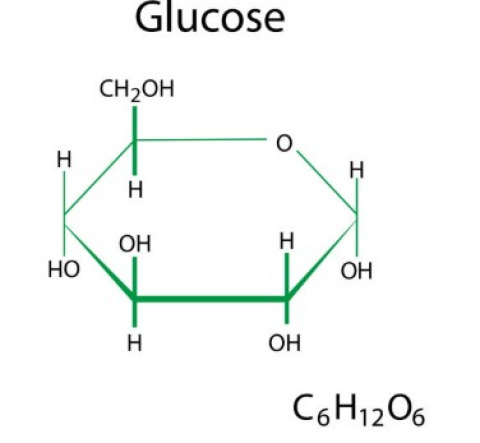 Glucosa