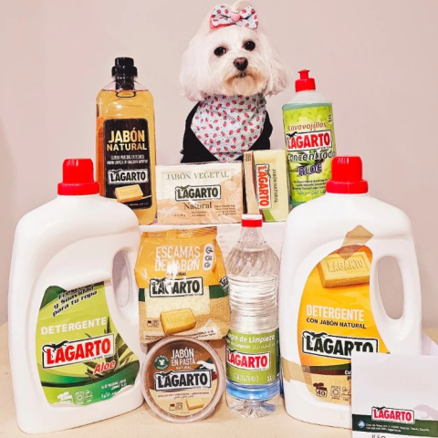 Productos Lagarto