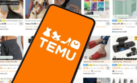 Web de Temu