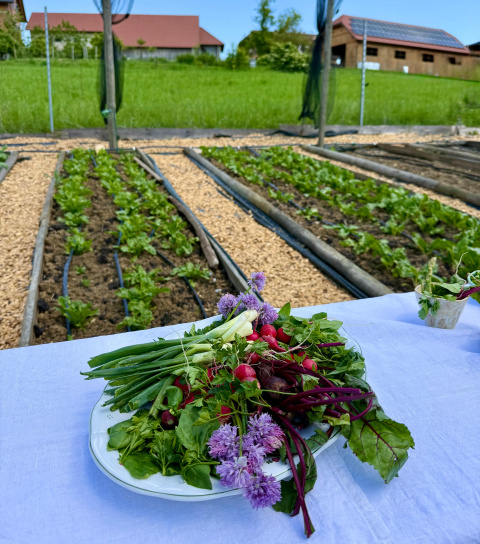 Del huerto al plato: aquí empieza la gastronomía eslovena.