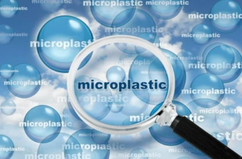 Microplásticos