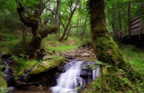 Parque Natural Saja-Besaya