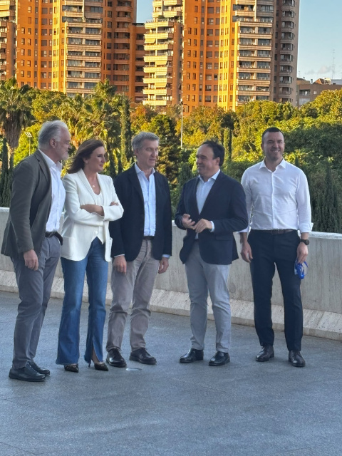 Mitin de Feijóo en Valencia