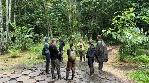 En la selva, guía y equipo son imprescindibles.